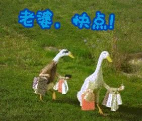 都匀焰火表演,都匀烟花表演节