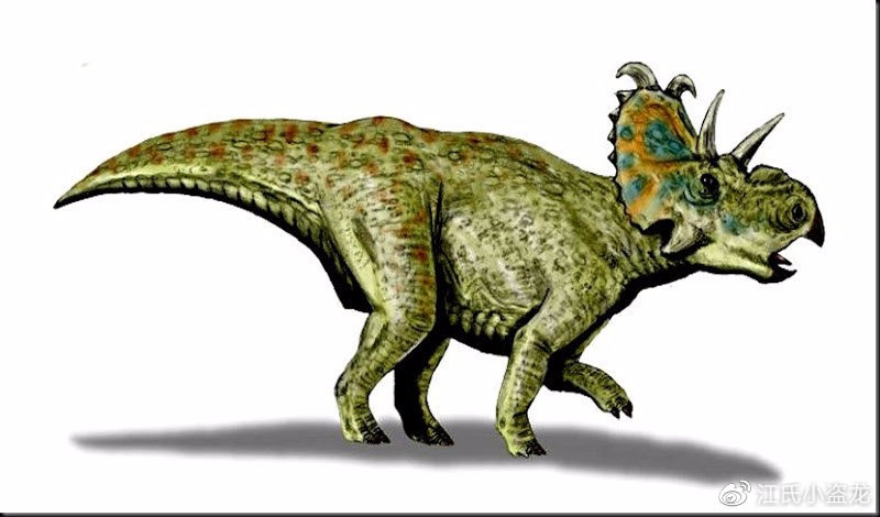 长得跟其他恐龙不一样的恐龙,恐龙化石奇怪的动物