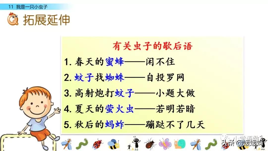 二年级下册我是一只小虫子课后题,二年级下册语文11我是一只小虫子