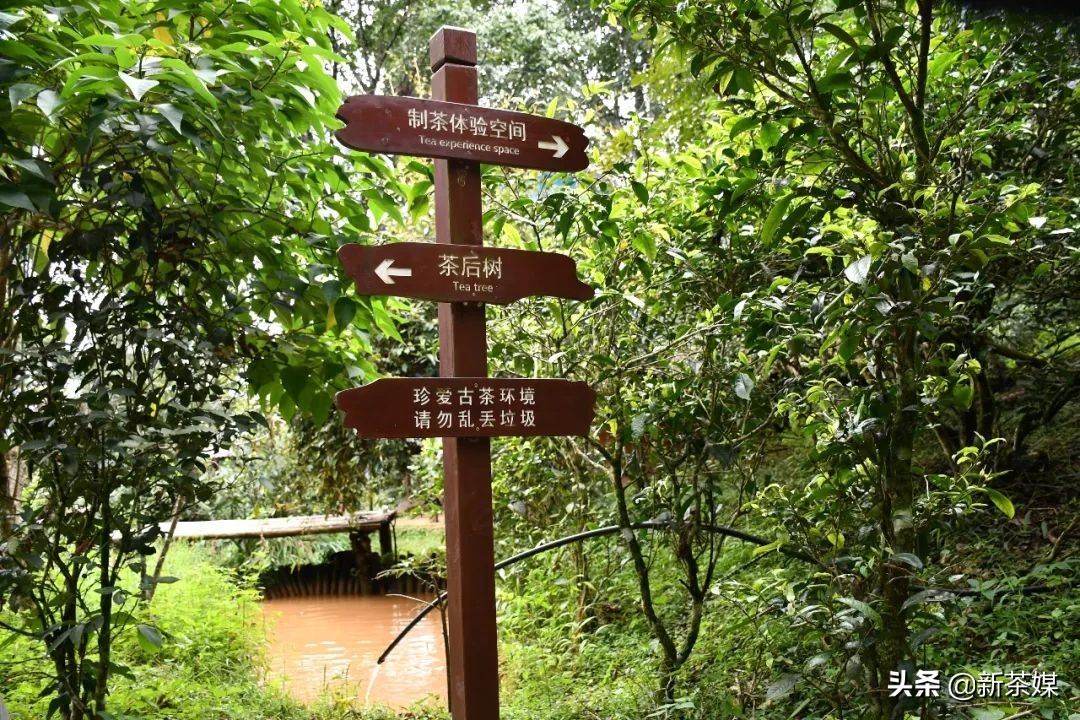 南糯山有什么景点,南糯山有哪些景点