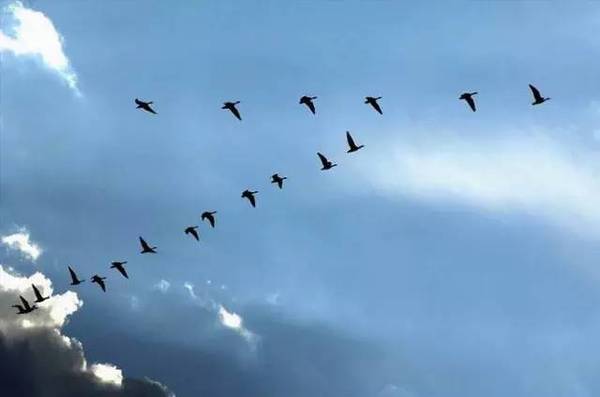 说文解字第346课视频教学,说文解字第262课视频