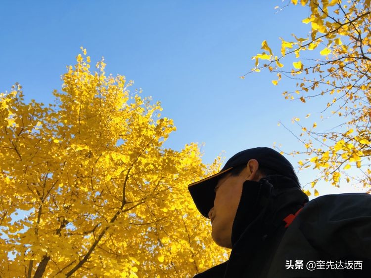 秋天的散文作文,秋天的诗歌随笔