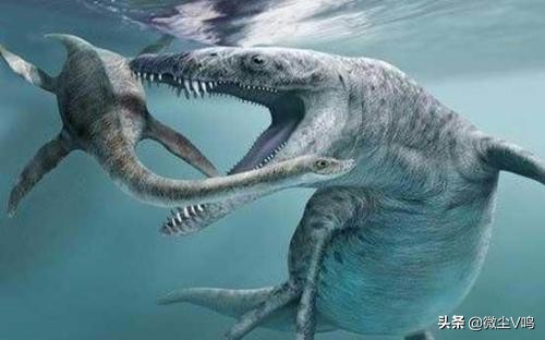 方舟游戏介绍视频,方舟游戏有几种