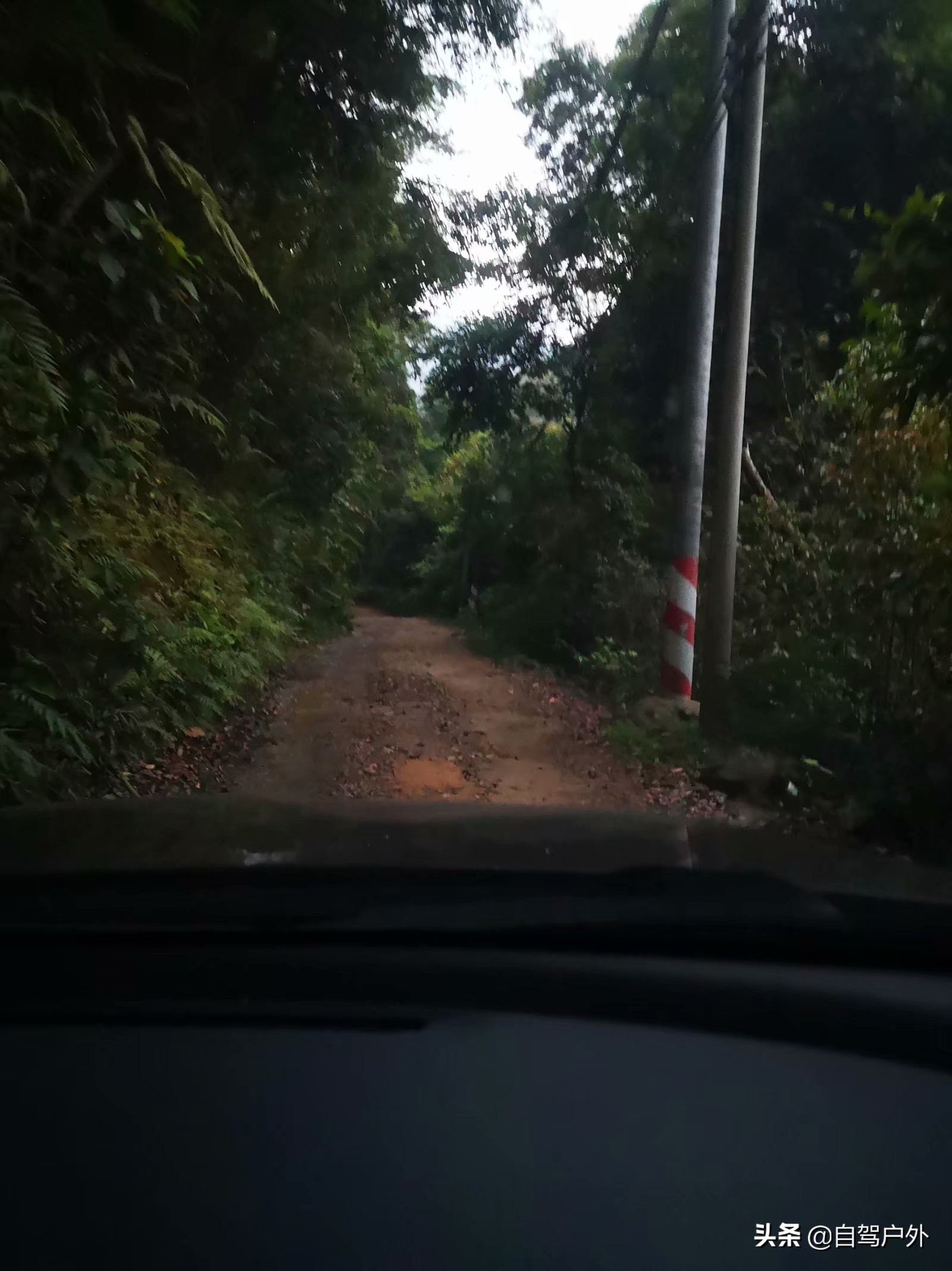 罗浮山脚下小溪露营地推荐,罗浮山休闲竹林露营攻略