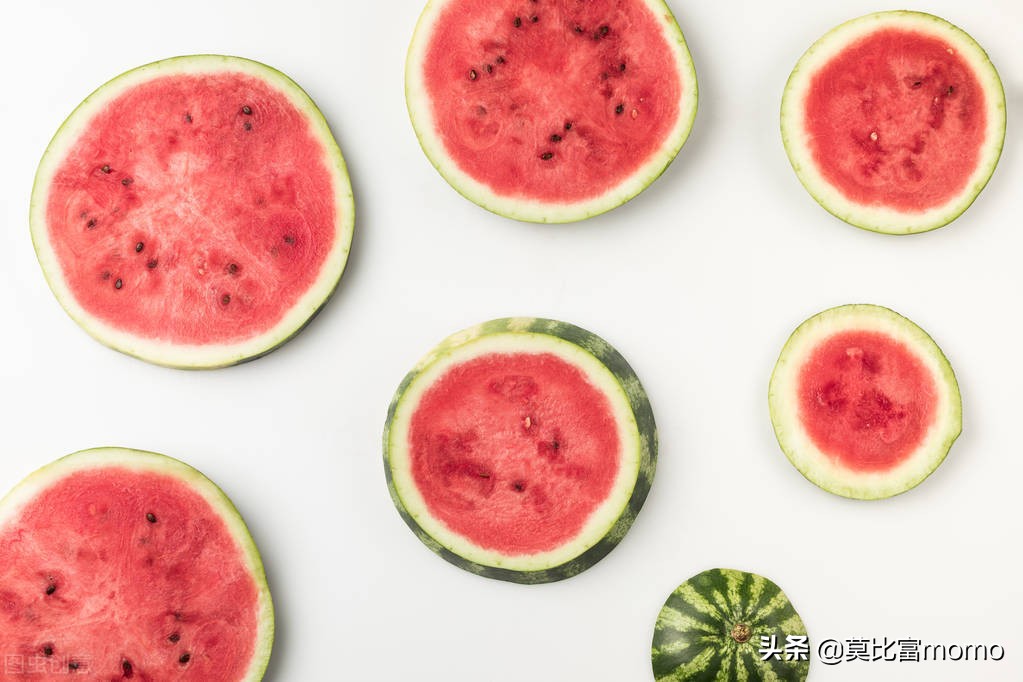 学习营养学的感悟,学习营养学的意义是什么