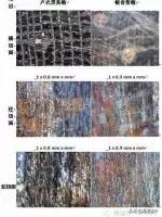 真正的小叶紫檀木材,大叶紫檀红木百科