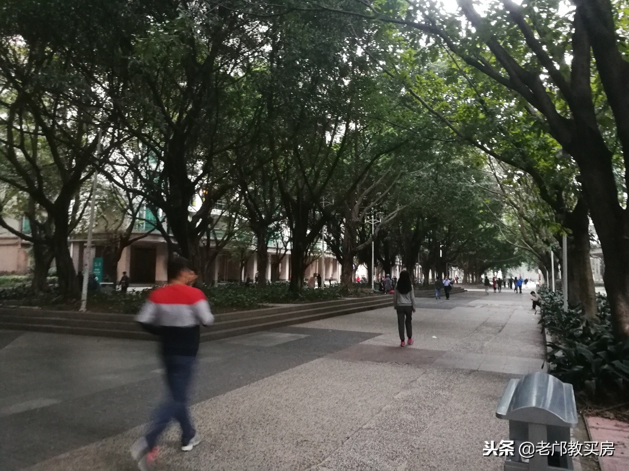 海珠区逸景翠园最新房价,海珠逸景翠园东区户型7号楼