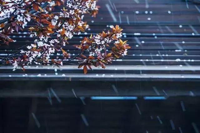 治家格言简短一句话,治家格言很有道理