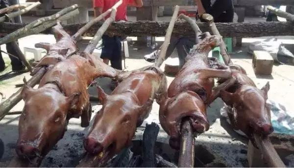 疫情过后一起去吃遍美食,疫情中的美食攻略