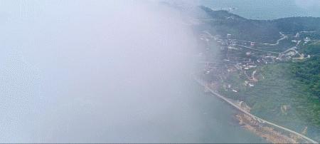 浙江景点花鸟岛,浙江风景花鸟岛