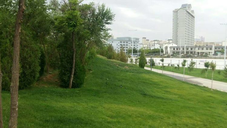 学乒乓球的书,乒乓球王新文