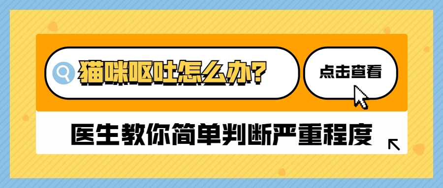 猫咪呕吐处理攻略,猫咪常见的呕吐原因及治疗方法