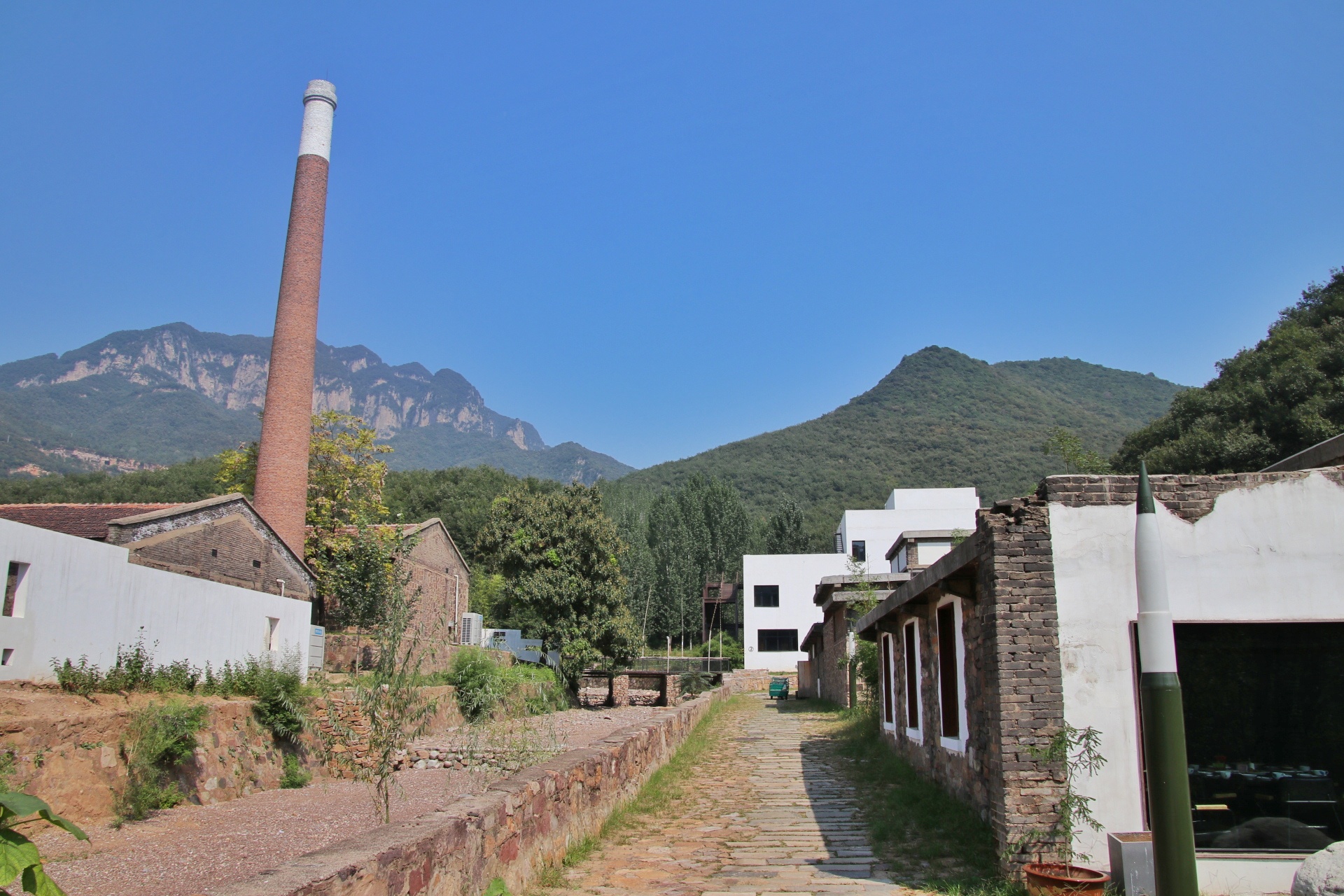 遇见不一样的济源：王屋山赏千年银杏，五龙口观太行猕猴