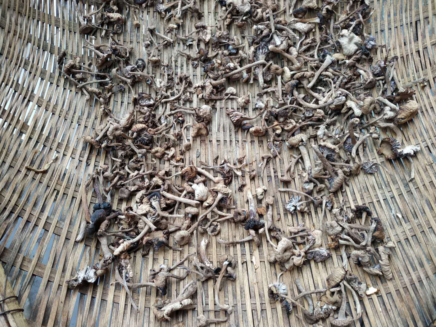 云南旅游走遍云南景点,走进云南大理图片