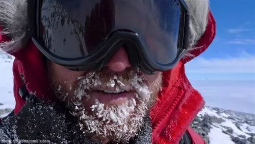 BBC最棒8部纪录片，强烈推荐孩子暑假看