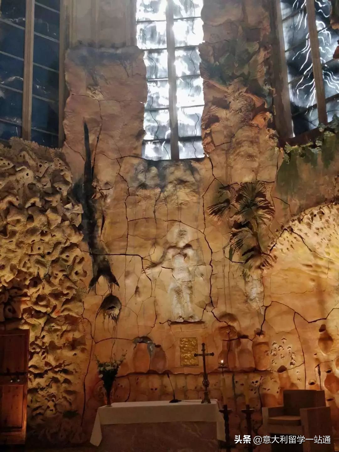 森淼学习意大利语有哪些校区,森淼意大利学校