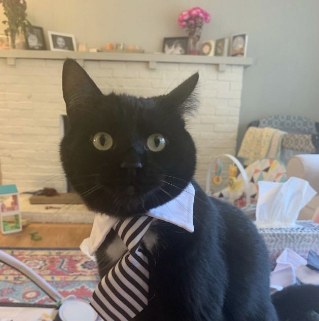 新冠病毒国外怎么防控,新冠病毒国外防控