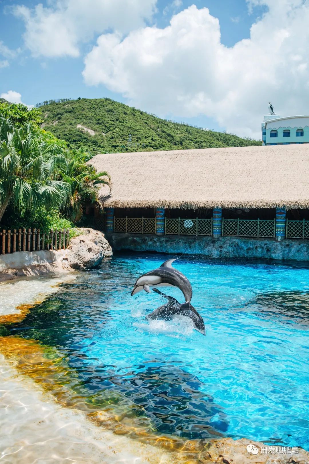 一天珠海长隆最全游玩攻略,最新的珠海长隆游玩攻略