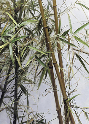 冷军和齐白石画螃蟹,冷军与齐白石画蜻蜓