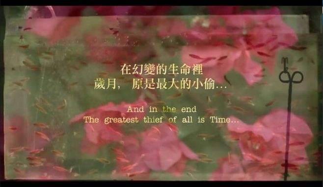 值得重温的十大冷门佳片1995年篇,近十年十部公认最好看的电影