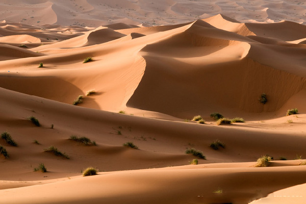 想去非洲劳务，需要走几步？