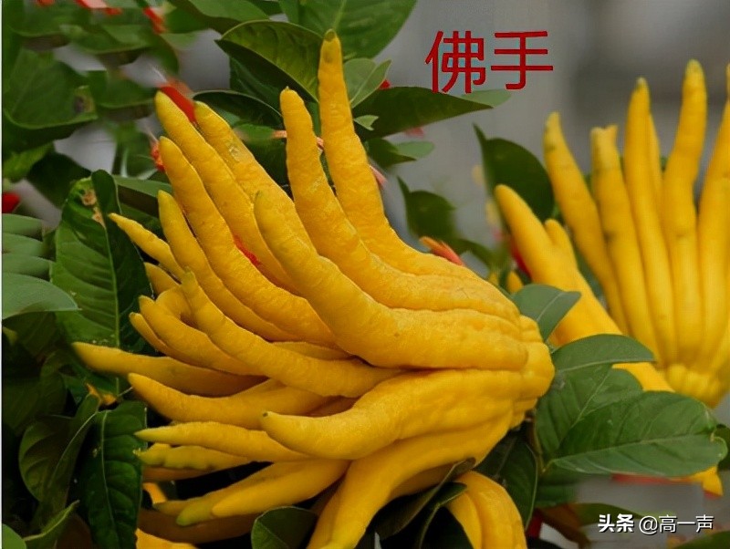 胃病反复发作源于不良情绪,胃病久治不愈焦虑抑郁