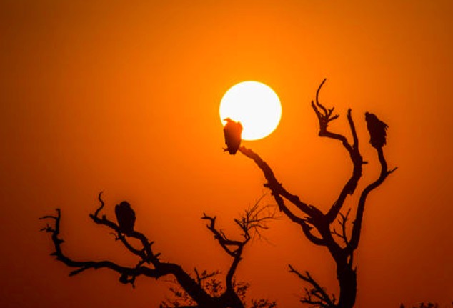 景色优美的元曲十首,最经典50首元曲赏析