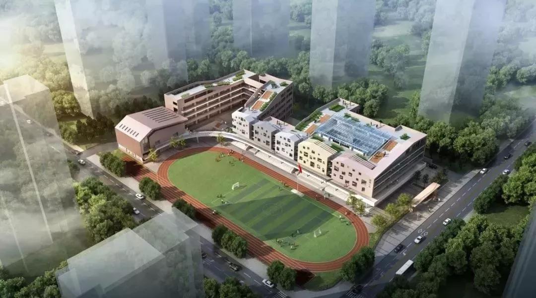 华丽转身！全面开挂！2020年这个区域涅槃重生！走上人生巅峰