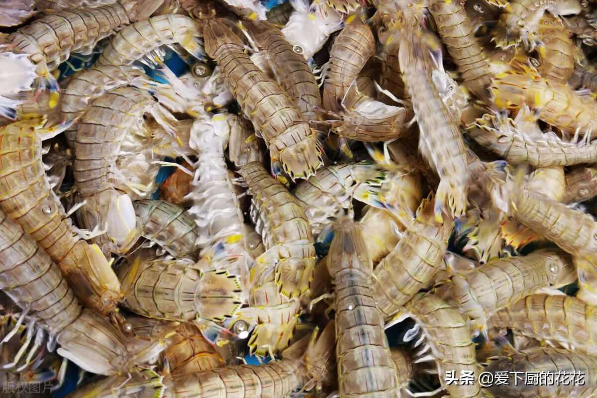 活皮皮虾剥壳小技巧,不会剥皮皮虾徒手剥虾只需5秒