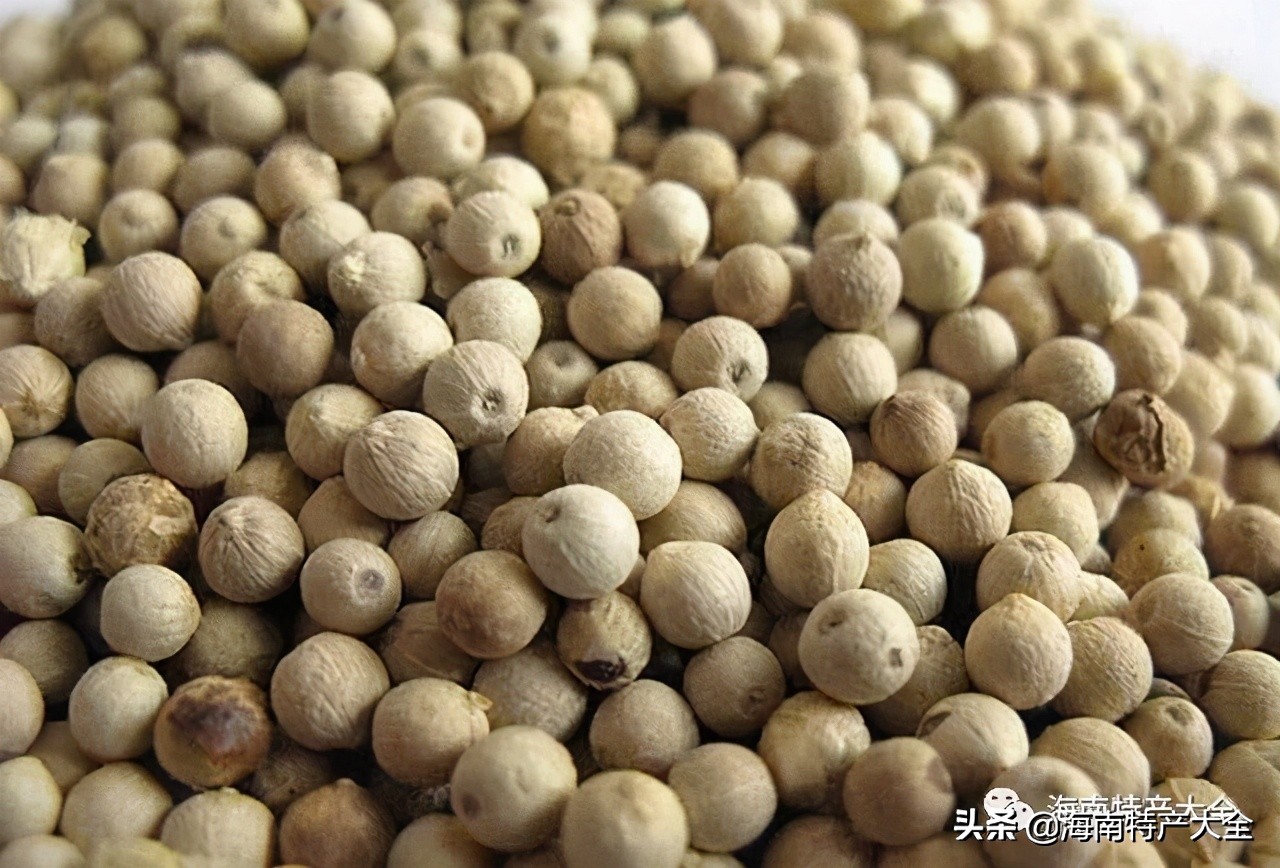 海南白胡椒今日价格多少钱一公斤,11月30日海南胡椒价格