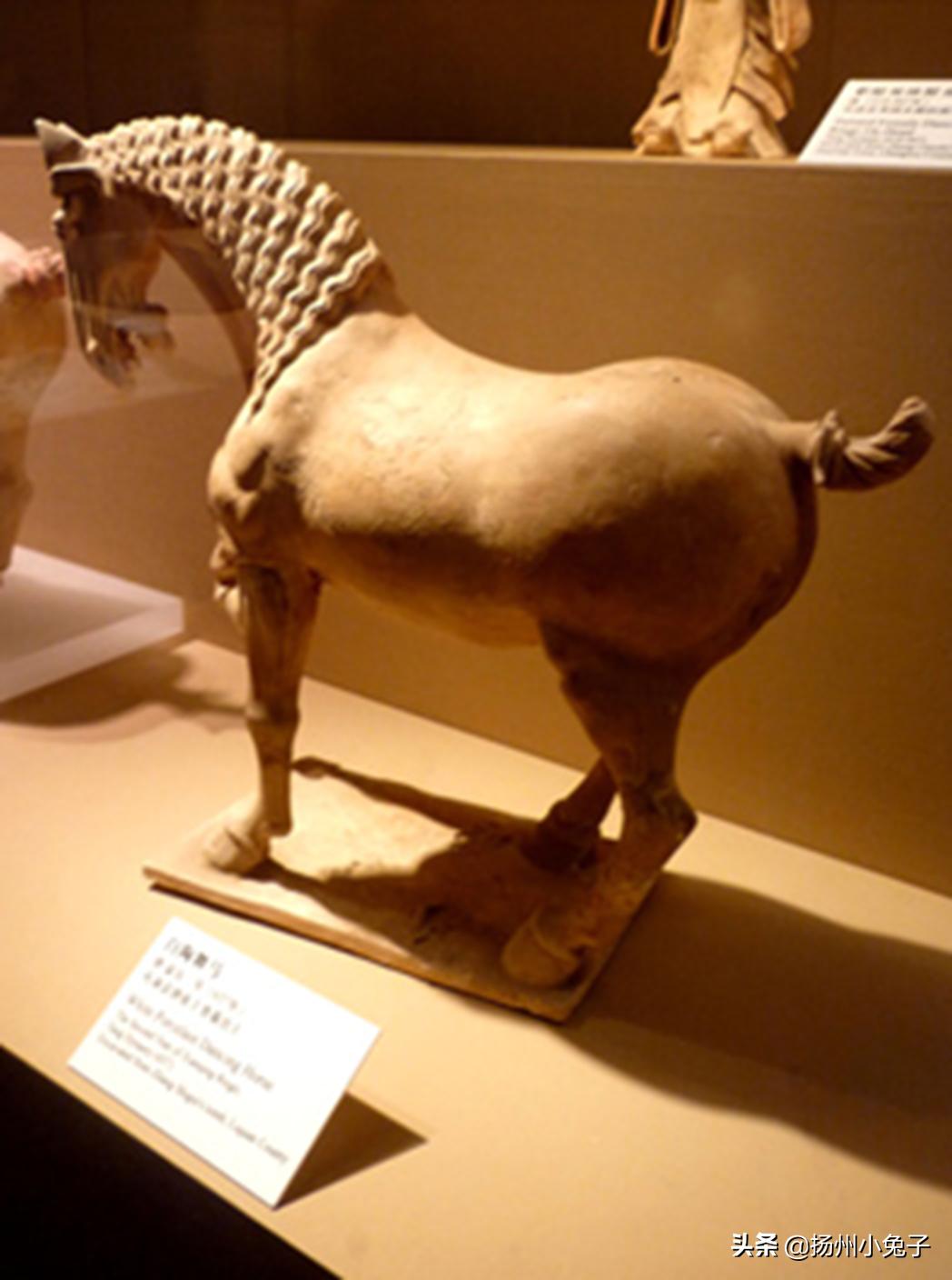 白马非马属于什么马,白马非马为什么不是马