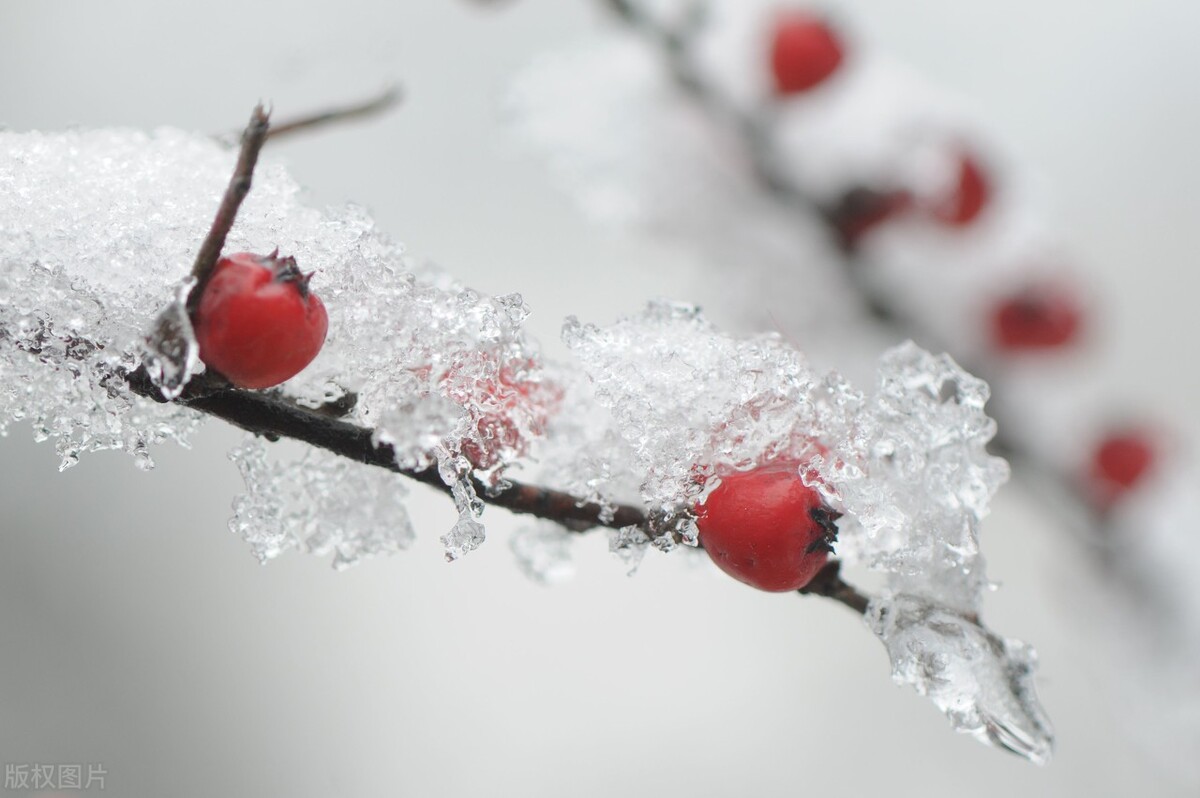 浅析荀子的性恶论对社会有何启示,荀子性恶论对当代大学生的意义