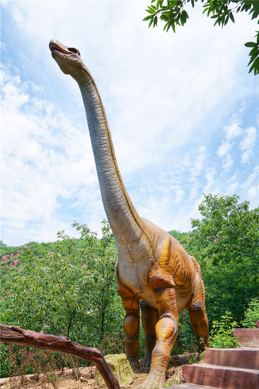 初夏河南,找寻童心,邂逅伏羲山的斜阳,一颗心萌化在云上牧场