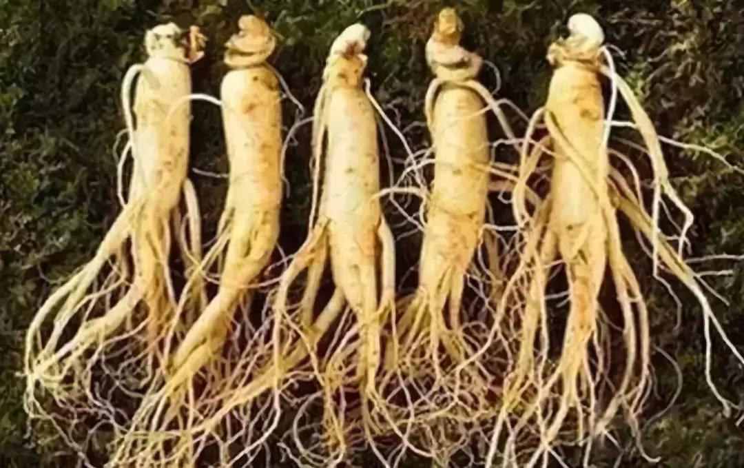 抹了这种药膏,两个小时后孩子就掉了,76%的孕妇都可能中招