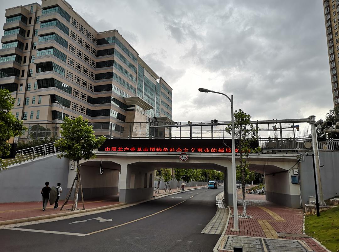 广西大学变化历史,广西大学文科毕业的你后来咋样了