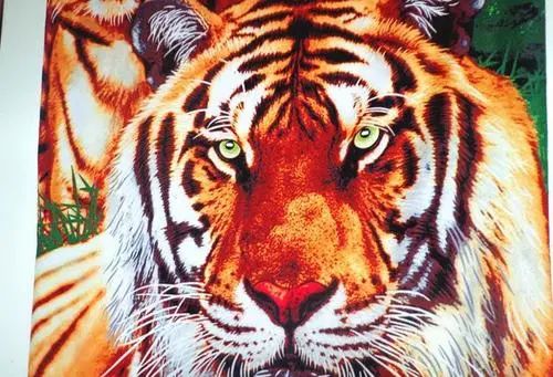 各种印花的区别,各种印花的直筒休闲长裤