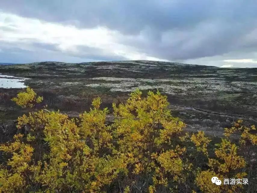 误闯挪威边境，他和这辆车最终都被遣返