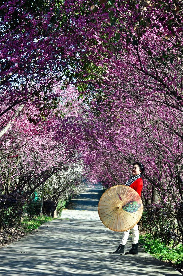 傅家边野营,走进金溪傅家村