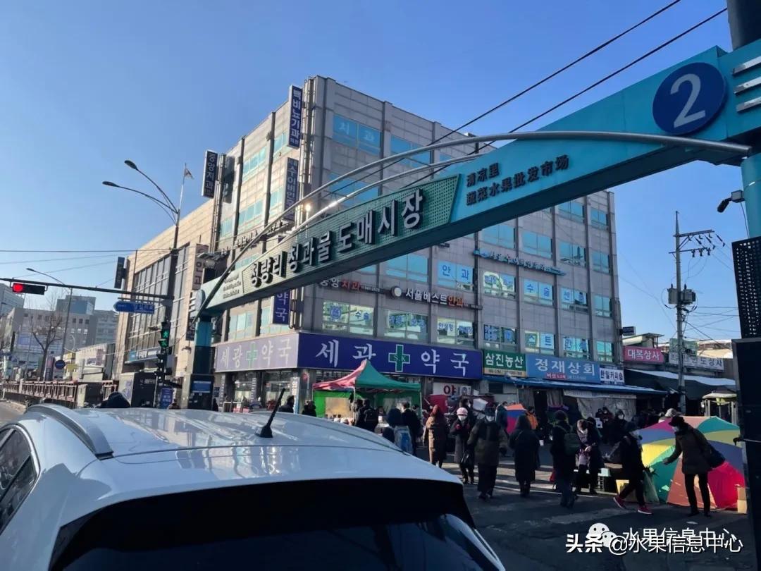 韩国的蔬菜水果批发市场,韩国最便宜的苹果水果