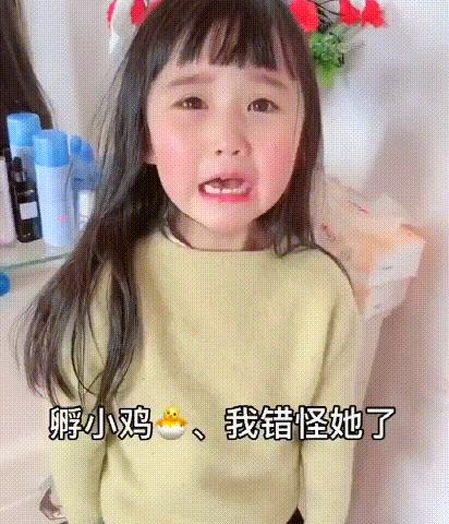 怎么给孩子养宠物狗狗,想养狗被父母拒绝怎么办