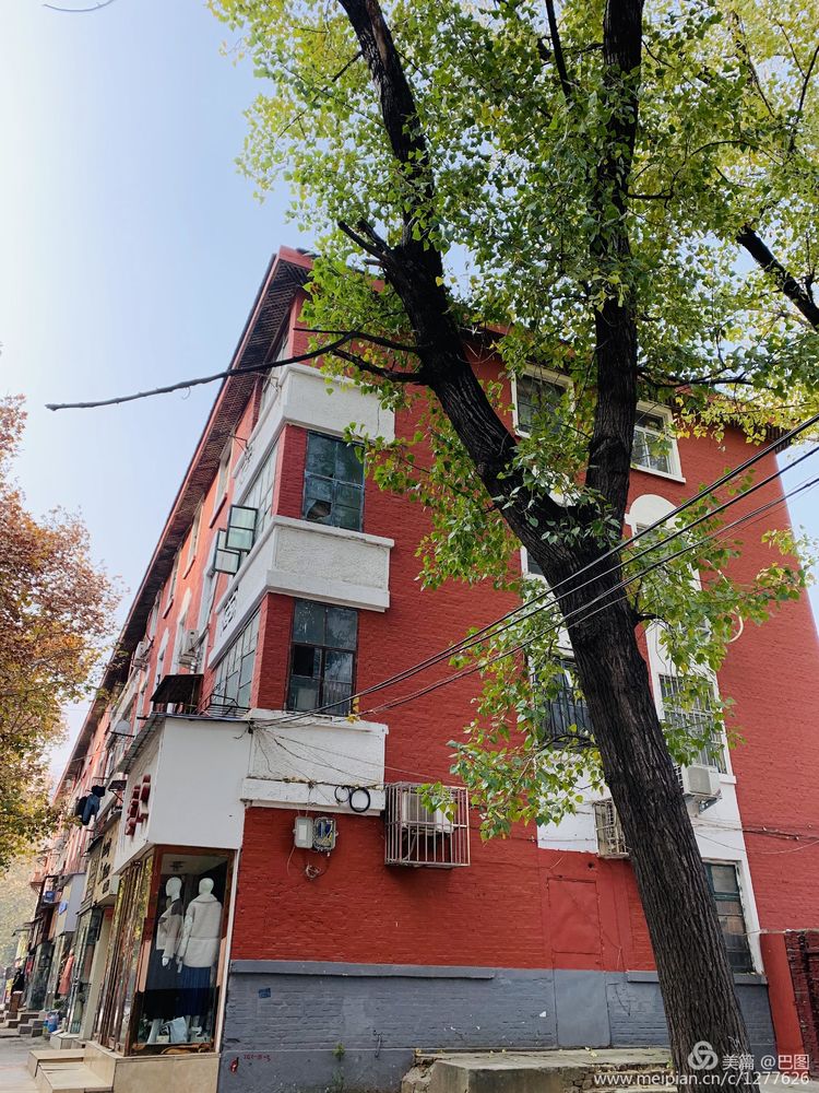 手机拍洛阳,涧西牡丹广场老照片