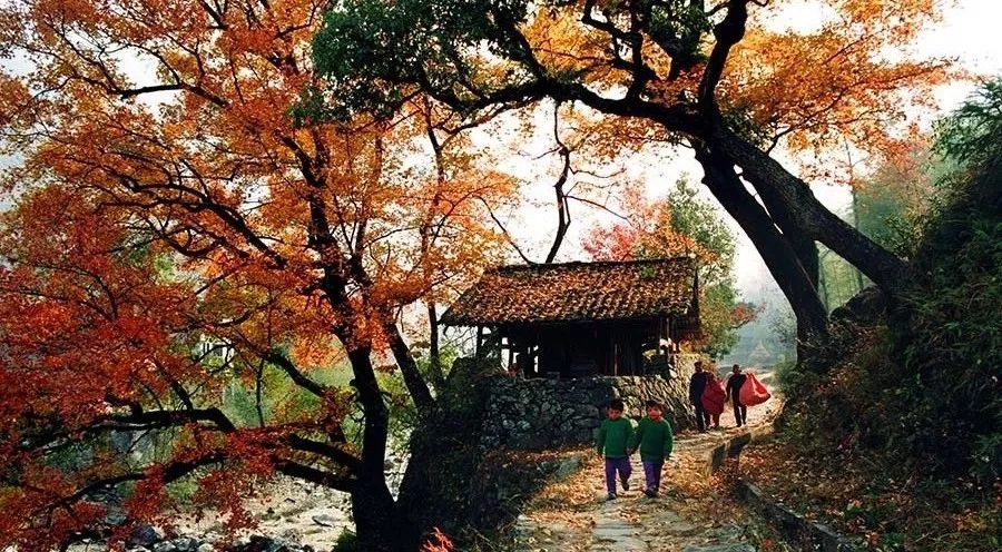 楠溪江好的精品民宿哪家比较好,楠溪江民宿客栈排名前十