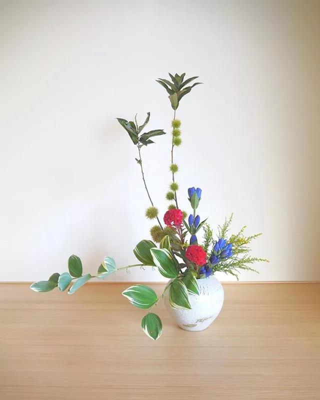 一花一世界一叶一菩提本来无一物,一花一世界一叶一菩提一场梦