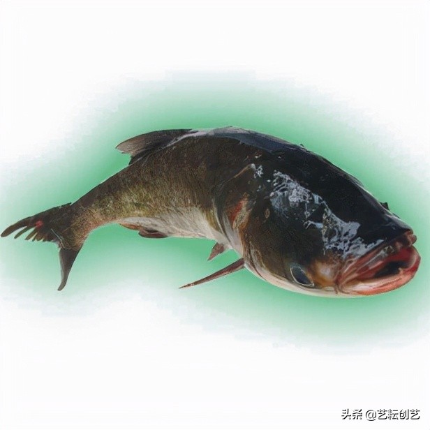 湖北标志性农产品,全国农产品地理标志目录四川