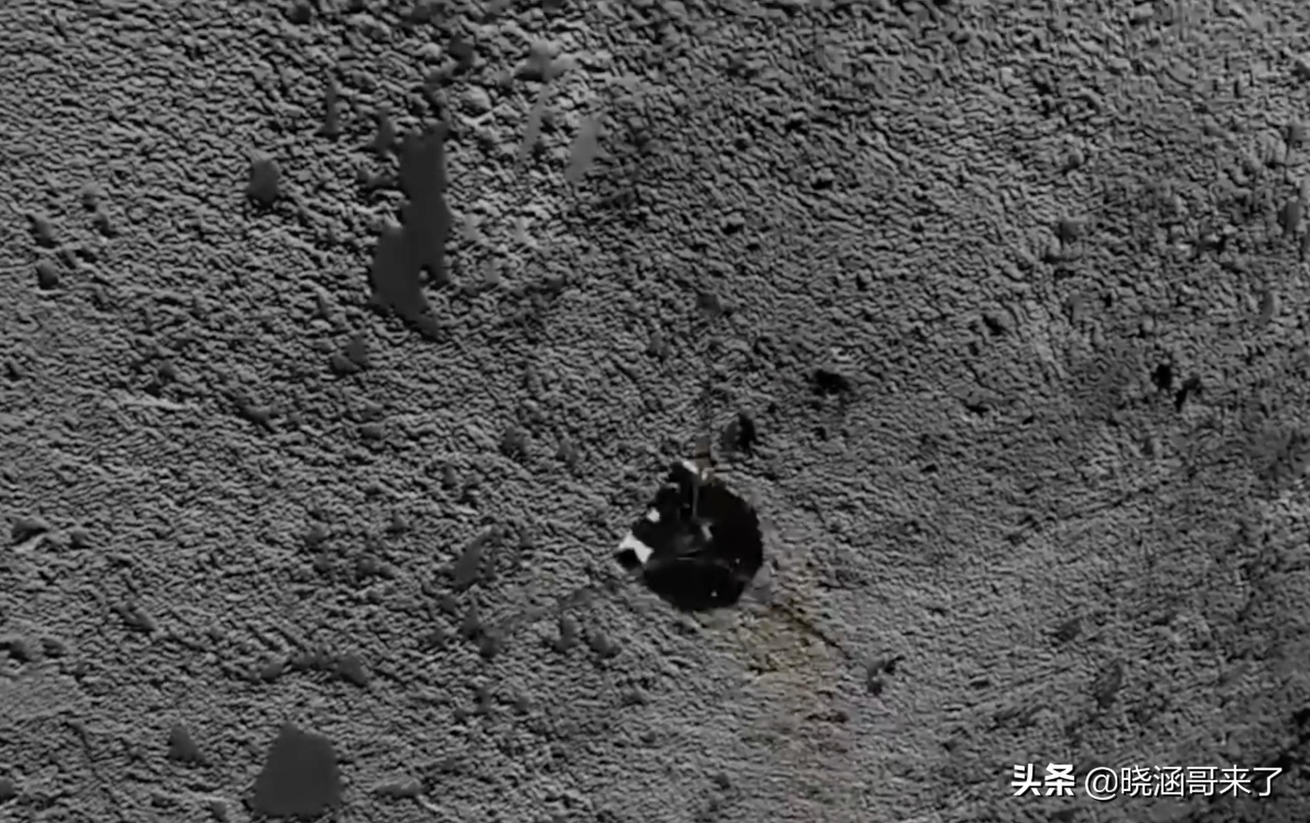 10.4万亿公里的彗星,86年哈雷彗星经过地球照片