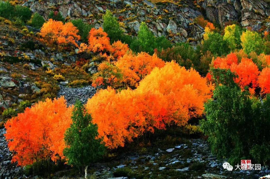 带娃的日子有滋有味,日子过得有滋有味广场舞