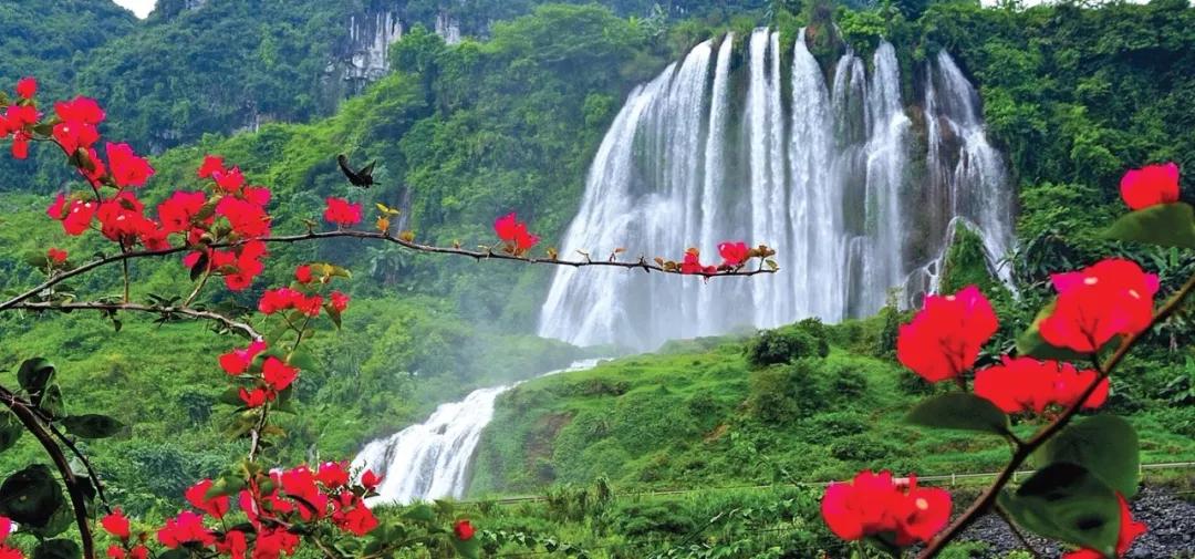 2020最强“广西大全”来了！承包柳州人一整年的旅行