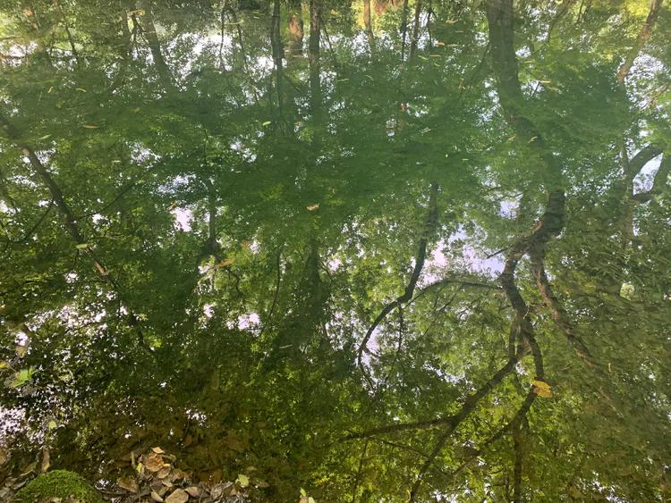 龙井村九溪十八涧徒步最佳路线图,九溪十八涧只有龙井村一个出口吗