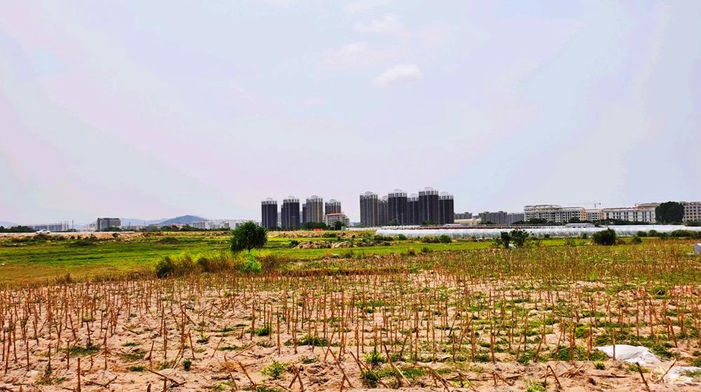 海南乐东九所镇简介地图,乐东沿海六镇哪个镇最强