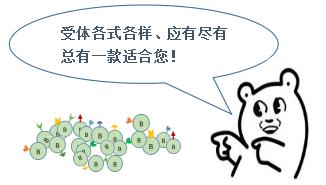 抗体怎么产生的,抗体从合成到分泌的步骤